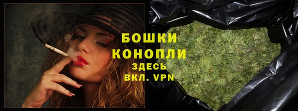 ешки Бородино