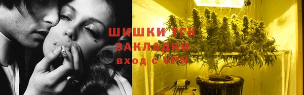 ешки Бородино