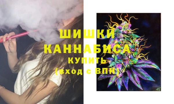 ешки Бородино